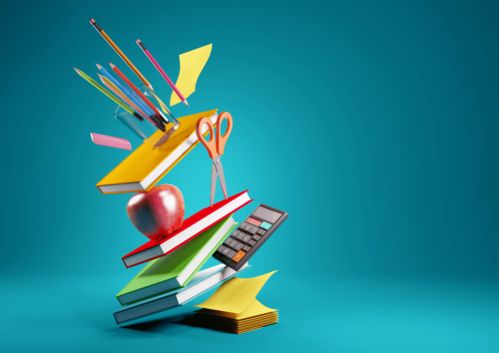 2021年非京籍子女在京接受義務(wù)教育入學(xué)指南 時(shí)間安排與信息采集詳解