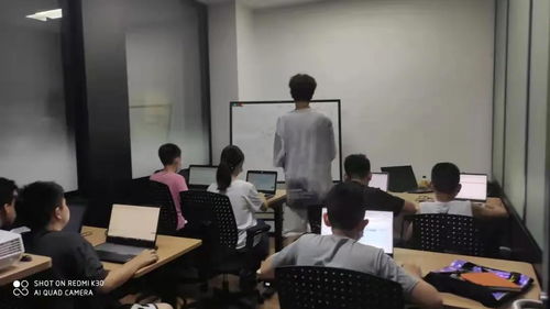 科技賦能未來，育才教育集團信息學競賽課程正式開班